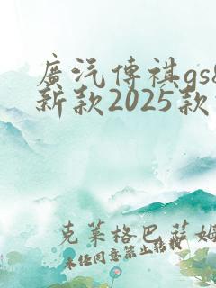 广汽传祺gs8新款2025款报价及图片