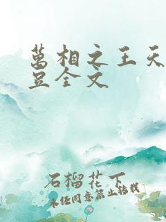 万相之王天蚕土豆全文 万相之王天蚕土豆全文