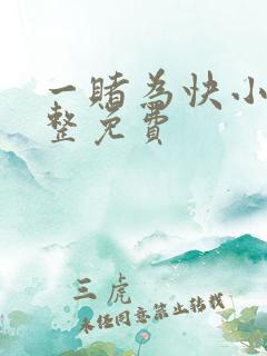 一赌为快小说完整免费