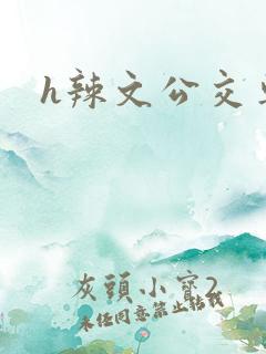 h辣文公交车