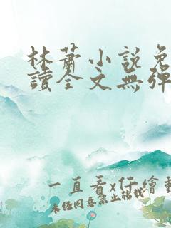 林萧小说免费阅读全文无弹窗 林萧小说免费阅读全文无弹窗