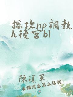 总攻np调教高h后宫bl
