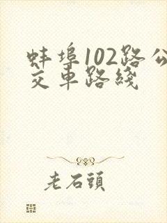 蚌埠102路公交车路线