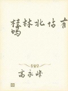 桂林北站有火车吗