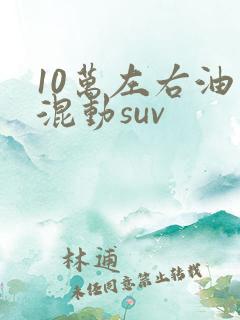 10万左右油电混动suv