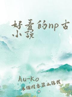 好看的np古言小说