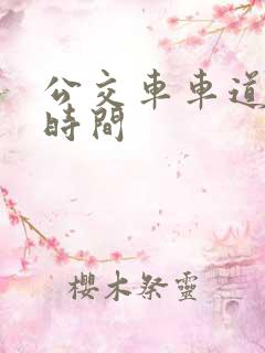 公交车车道限行时间