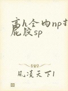 高h全肉np打屁股sp