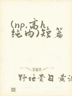 (np,高h,纯肉)短篇