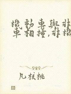 机动车与非机动车相撞,非机动车全责 机动车与非机动车相撞,非机动车全责