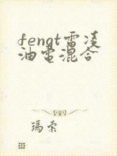 fengt雷凌油电混合