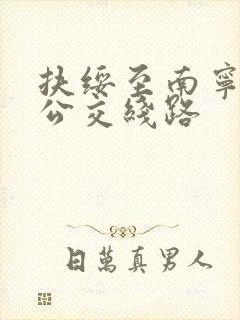 扶绥至南宁城际公交线路