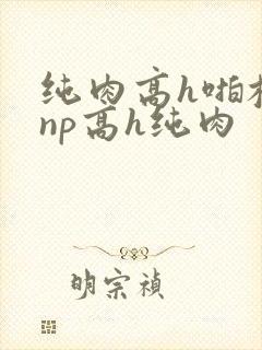 纯肉高h啪校园np高h纯肉