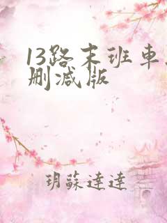 13路末班车无删减版