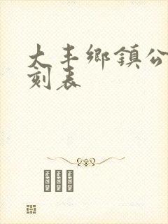 大丰乡镇公交时刻表