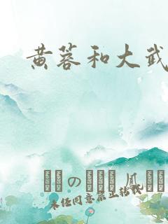 黄蓉和大武小武