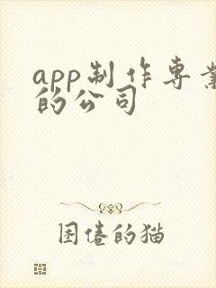 app制作专业的公司