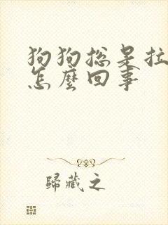 狗狗总是拉尿是怎么回事