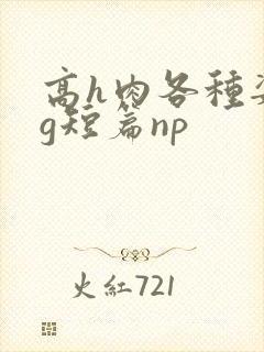 高h肉各种姿势g短篇np 高h肉各种姿势g短篇np