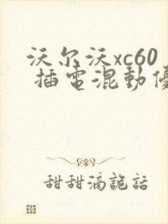 沃尔沃xc60 插电混动优惠价