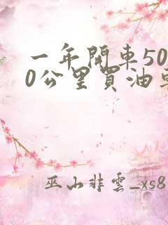 一年开车5000公里买油车还是电车