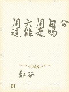 周六周日公交车道能走吗