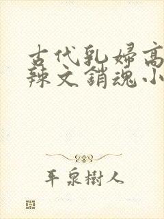 古代乳妇高h肉辣文销魂小妾