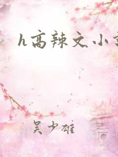 h高辣文小说