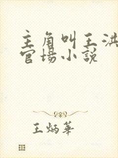 主角叫王洪涛的官场小说