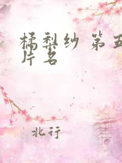 橘梨纱 第五部片名