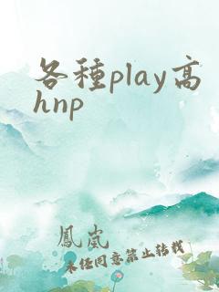 各种play高hnp 各种play高hnp