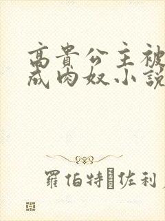 高贵公主被调教成肉奴小说