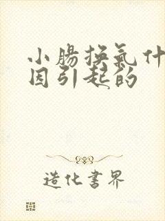 小肠换气什么原因引起的