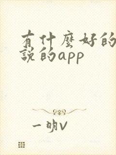 有什么好的看小说的app