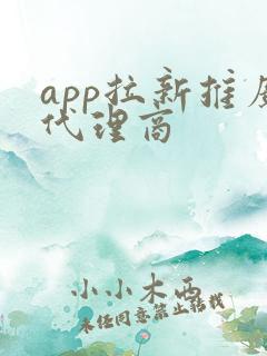 app拉新推广代理商