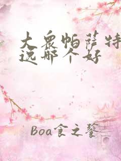 大众帕萨特和朗逸哪个好
