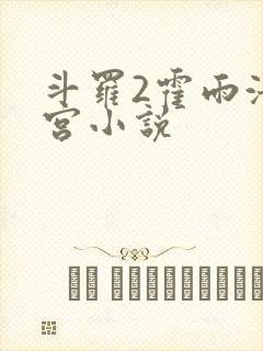 斗罗2霍雨浩后宫小说