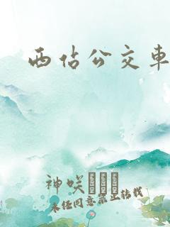 西站公交车