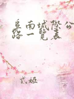 阜南城际公交线路一览表