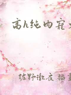 高h纯肉宠文