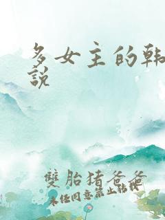 多女主的韩娱小说