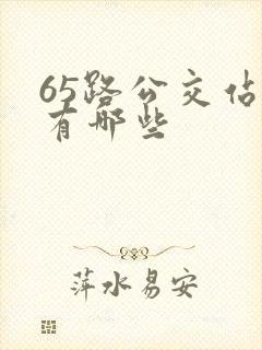 65路公交站点有哪些