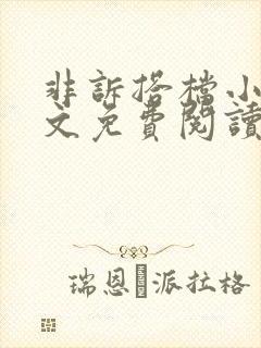 非诉搭档小说全文免费阅读无弹窗
