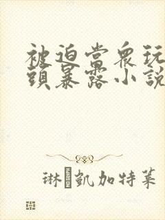 被迫当众玩弄奶头暴露小说