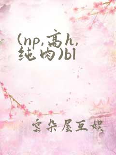 (np,高h,纯肉)bl
