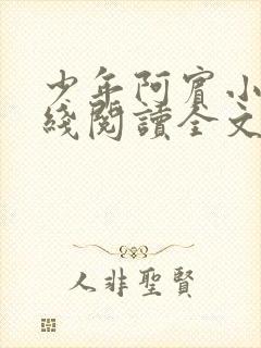 少年阿宾小说在线阅读全文无删减