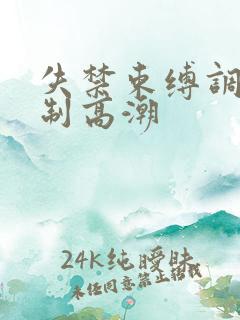 失禁束缚调教强制高潮