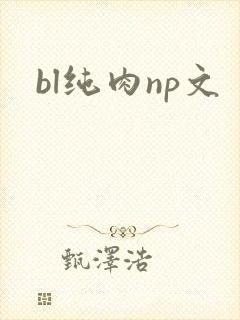 bl纯肉np文
