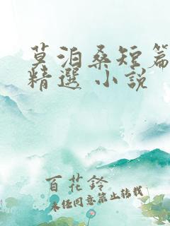 莫泊桑短篇小说精选 小说