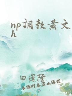 np调教黄文高h